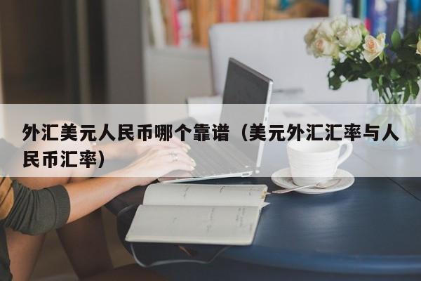 外汇美元人民币哪个靠谱（美元外汇汇率与人民币汇率）