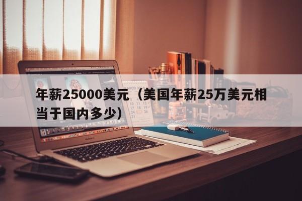 年薪25000美元（美国年薪25万美元相当于国内多少）