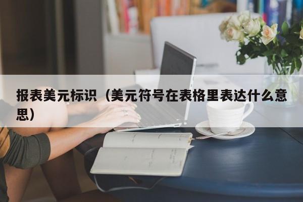 报表美元标识（美元符号在表格里表达什么意思）