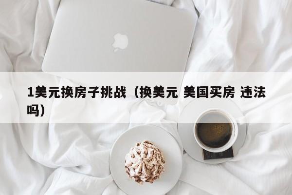 1美元换房子挑战（换美元 美国买房 违法吗）