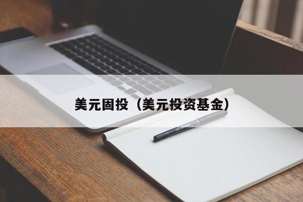美元固投（美元投资基金）