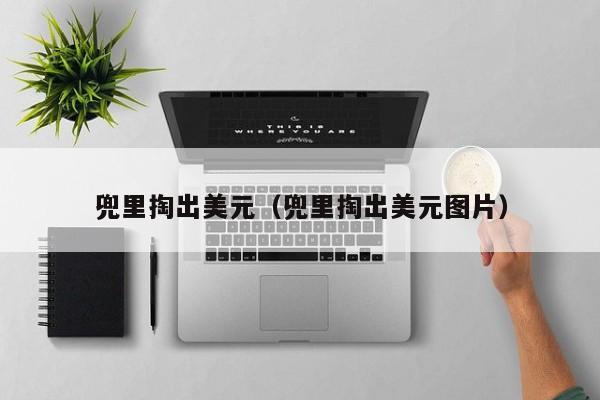兜里掏出美元（兜里掏出美元图片）