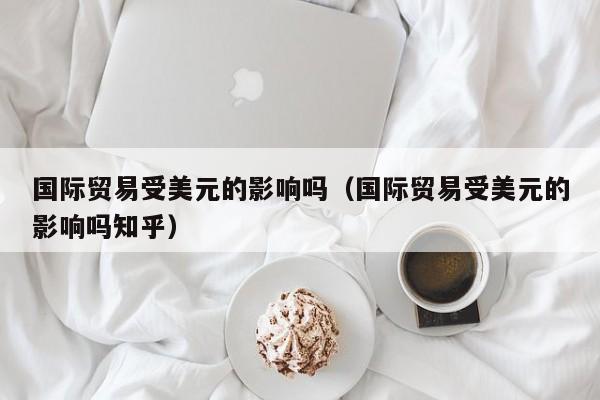 国际贸易受美元的影响吗（国际贸易受美元的影响吗知乎）