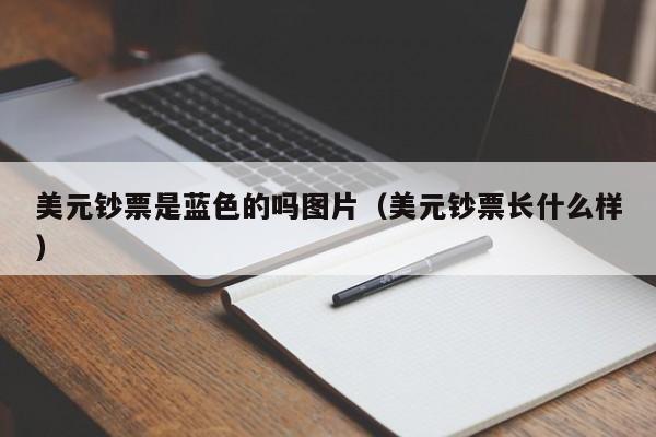 美元钞票是蓝色的吗图片（美元钞票长什么样）