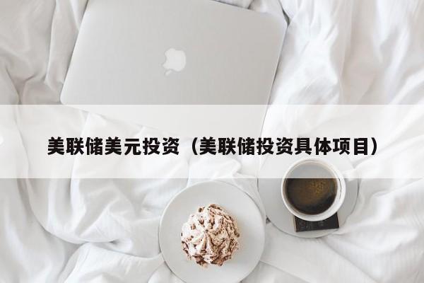 美联储美元投资（美联储投资具体项目）