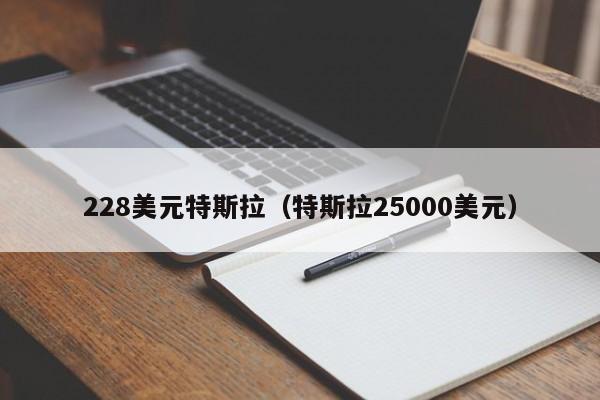 228美元特斯拉（特斯拉25000美元）