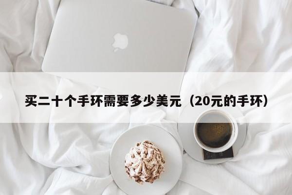 买二十个手环需要多少美元（20元的手环）