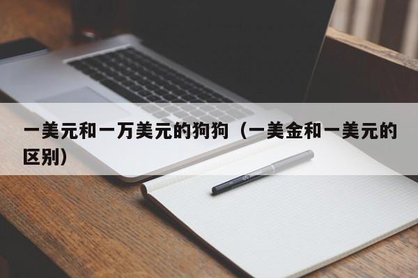 一美元和一万美元的狗狗（一美金和一美元的区别）