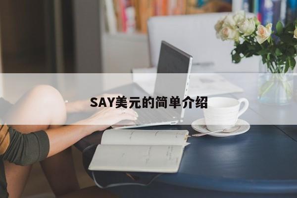 SAY美元的简单介绍
