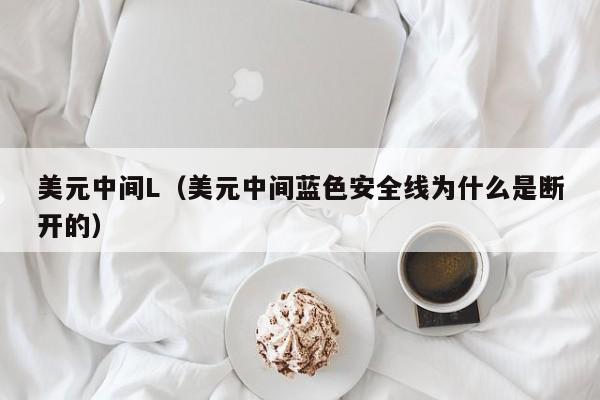 美元中间L（美元中间蓝色安全线为什么是断开的）
