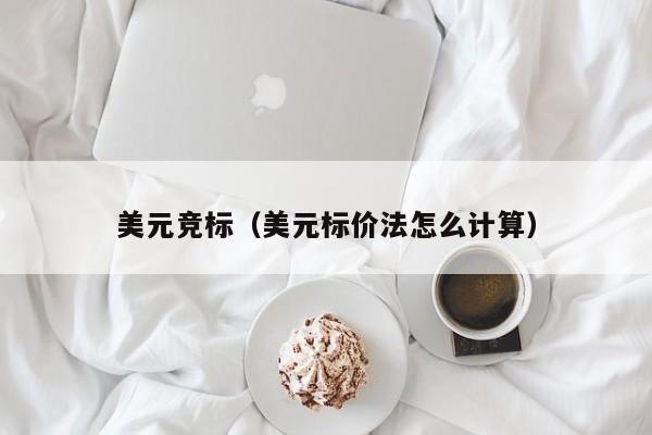 美元竞标（美元标价法怎么计算）