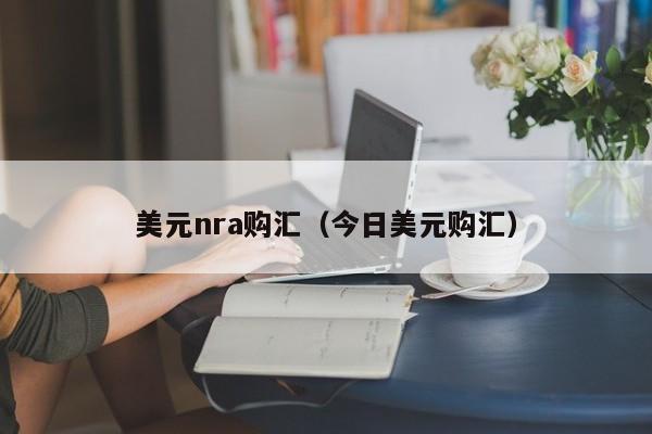 美元nra购汇（今日美元购汇）