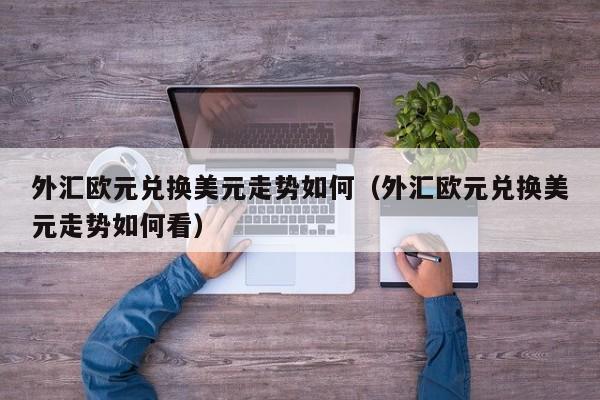 外汇欧元兑换美元走势如何（外汇欧元兑换美元走势如何看）