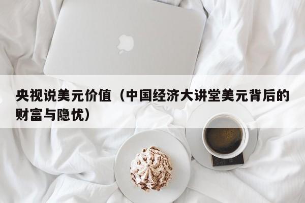 央视说美元价值（中国经济大讲堂美元背后的财富与隐忧）