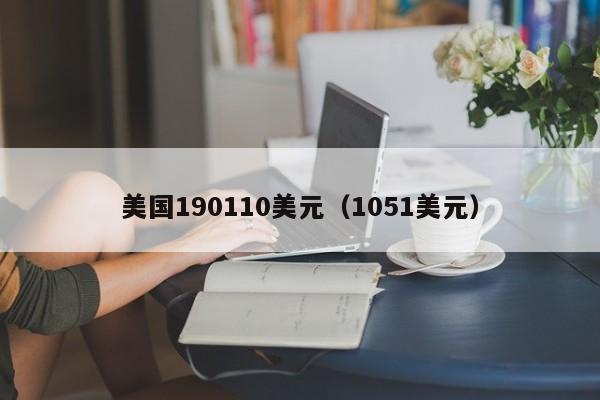 美国190110美元（1051美元）