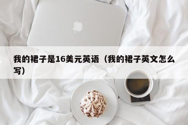 我的裙子是16美元英语（我的裙子英文怎么写）