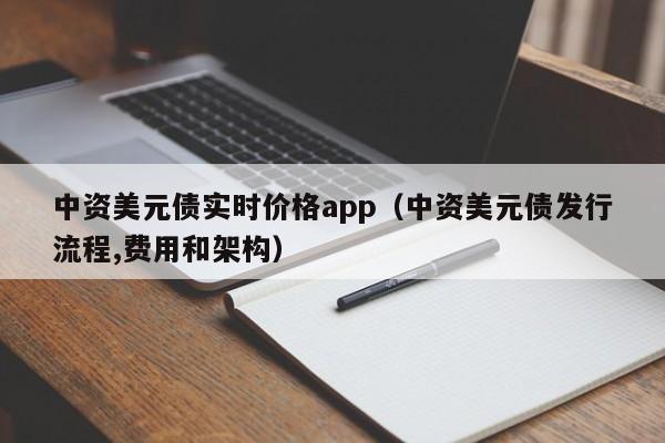 中资美元债实时价格app（中资美元债发行流程,费用和架构）