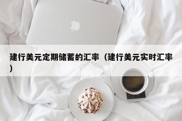 建行美元定期储蓄的汇率（建行美元实时汇率）