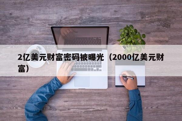 2亿美元财富密码被曝光（2000亿美元财富）