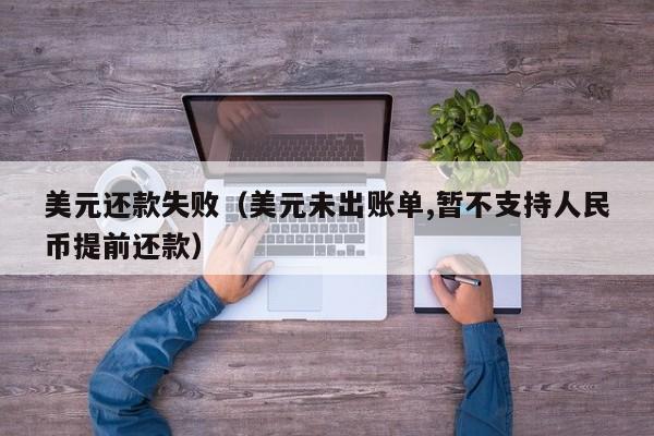 美元还款失败（美元未出账单,暂不支持人民币提前还款）
