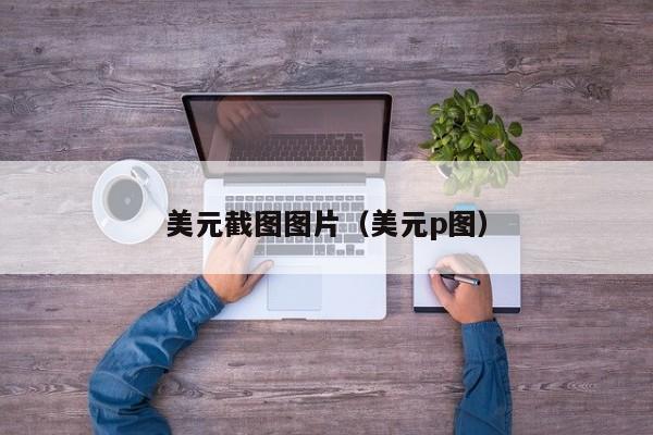美元截图图片（美元p图）