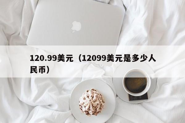120.99美元（12099美元是多少人民币）