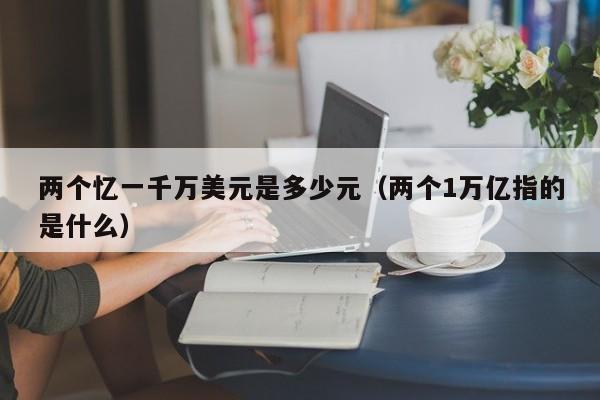 两个忆一千万美元是多少元（两个1万亿指的是什么）