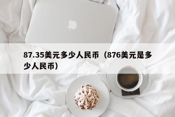 87.35美元多少人民币（876美元是多少人民币）