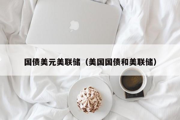 国债美元美联储（美国国债和美联储）