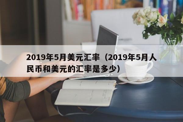 2019年5月美元汇率（2019年5月人民币和美元的汇率是多少）