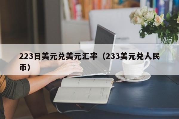 223日美元兑美元汇率（233美元兑人民币）