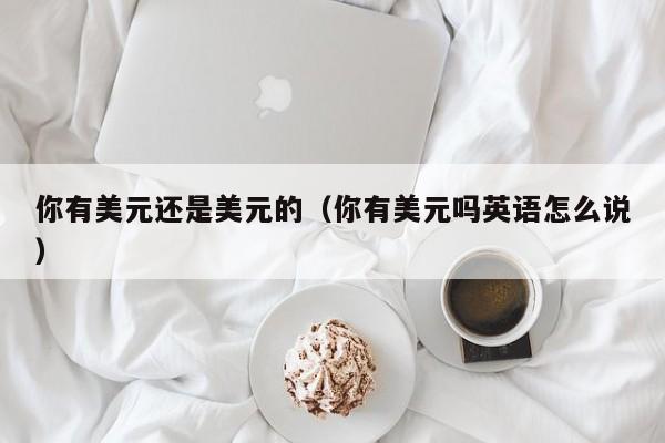 你有美元还是美元的（你有美元吗英语怎么说）