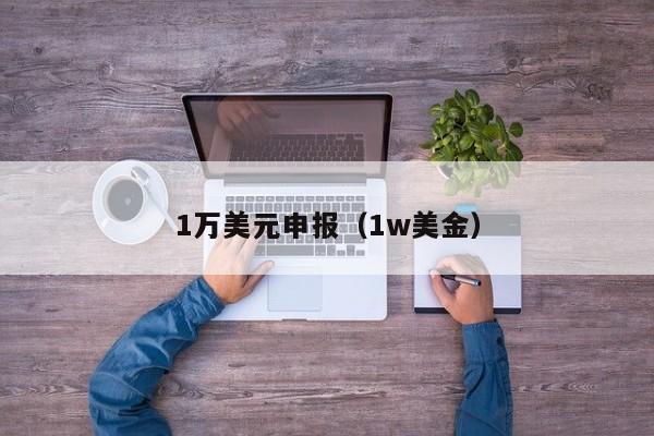 1万美元申报（1w美金）
