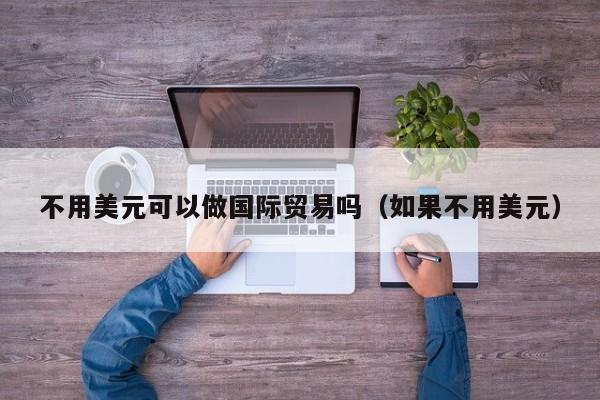 不用美元可以做国际贸易吗（如果不用美元）