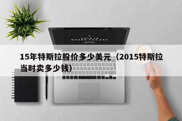 15年特斯拉股价多少美元（2015特斯拉当时卖多少钱）