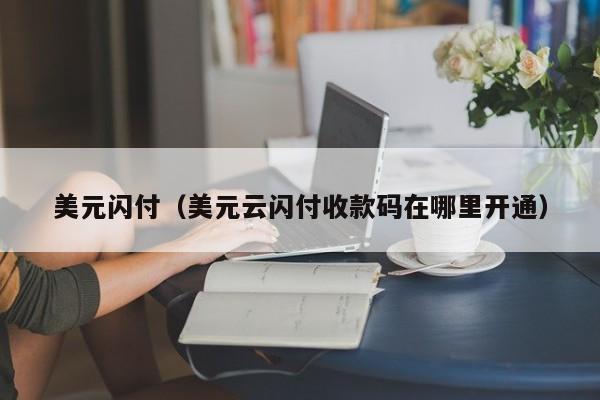 美元闪付（美元云闪付收款码在哪里开通）