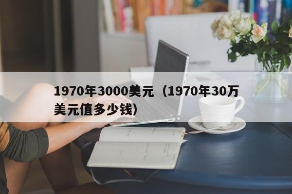 1970年3000美元（1970年30万美元值多少钱）