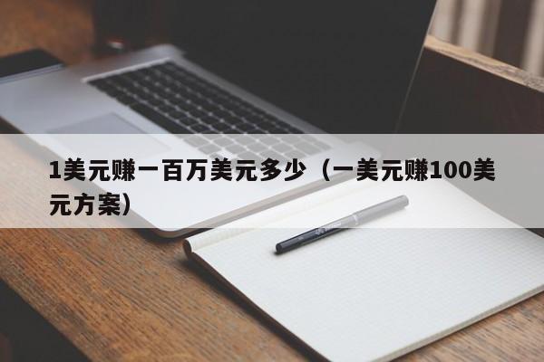 1美元赚一百万美元多少（一美元赚100美元方案）