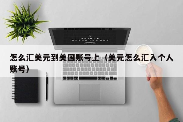 怎么汇美元到美国账号上（美元怎么汇入个人账号）