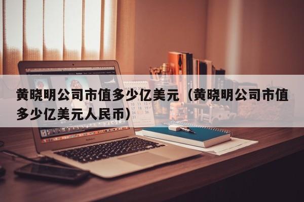 黄晓明公司市值多少亿美元（黄晓明公司市值多少亿美元人民币）