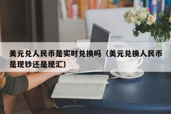 美元兑人民币是实时兑换吗（美元兑换人民币是现钞还是现汇）