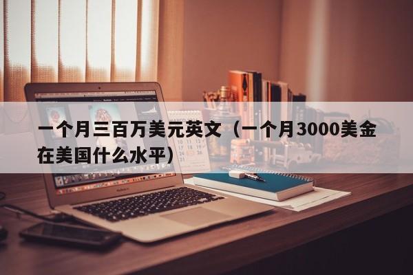 一个月三百万美元英文（一个月3000美金在美国什么水平）