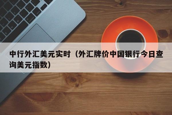 中行外汇美元实时（外汇牌价中国银行今日查询美元指数）