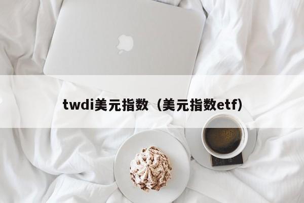 twdi美元指数（美元指数etf）