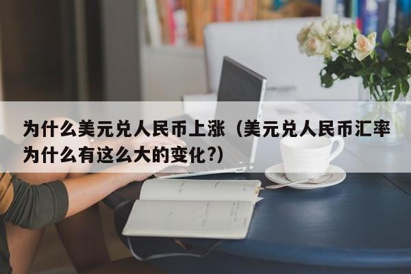 为什么美元兑人民币上涨（美元兑人民币汇率为什么有这么大的变化?）