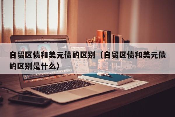 自贸区债和美元债的区别（自贸区债和美元债的区别是什么）
