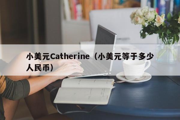 小美元Catherine（小美元等于多少人民币）