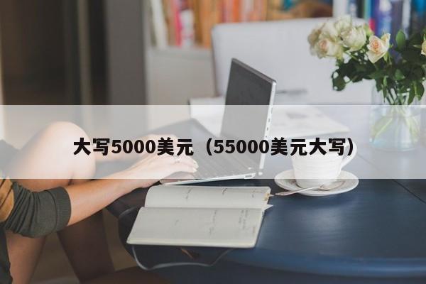 大写5000美元（55000美元大写）