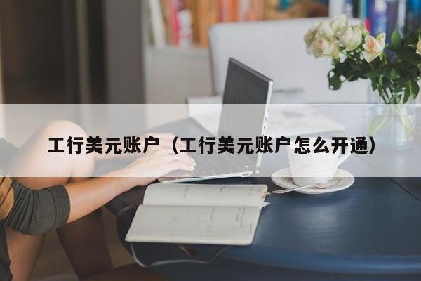 工行美元账户（工行美元账户怎么开通）