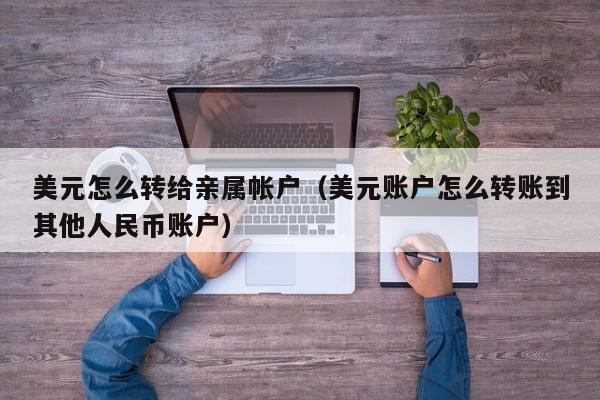 美元怎么转给亲属帐户（美元账户怎么转账到其他人民币账户）